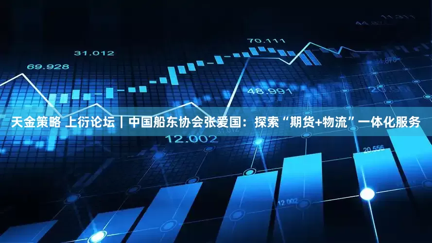 天金策略 上衍论坛｜中国船东协会张爱国：探索“期货+物流”一体化服务