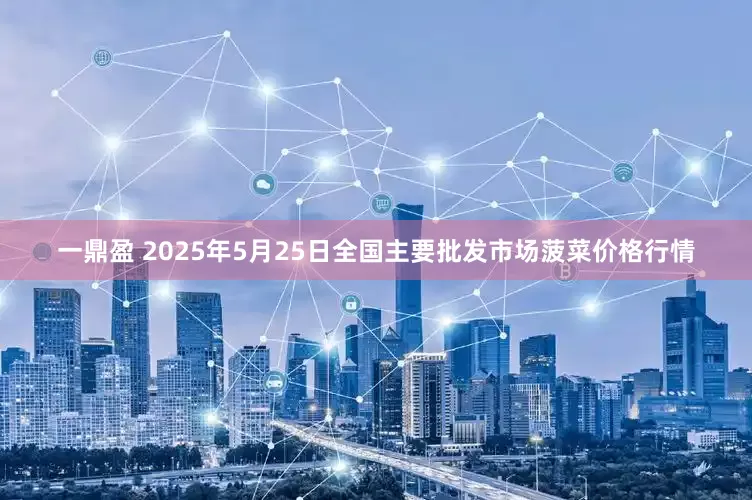 一鼎盈 2025年5月25日全国主要批发市场菠菜价格行情