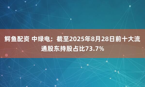鳄鱼配资 中绿电：截至2025年8月28日前十大流通股东持股占比73.7%