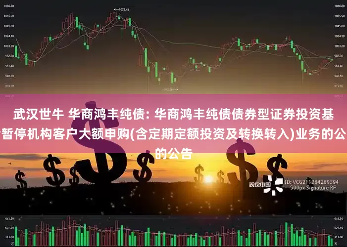 武汉世牛 华商鸿丰纯债: 华商鸿丰纯债债券型证券投资基金暂停机构客户大额申购(含定期定额投资及转换转入)业务的公告